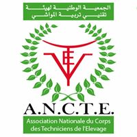ANCTE