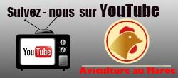 Chaine Youtube