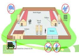 ferme avicole
